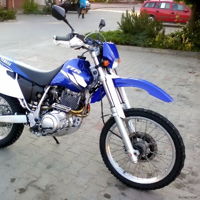 biszkopcik13
