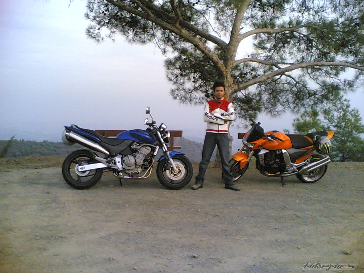 Photo 1000001