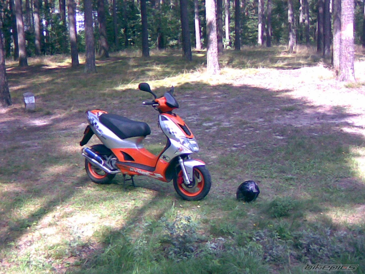 Photo 1000017