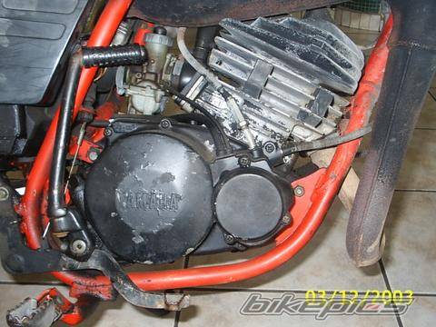 Photo 100003