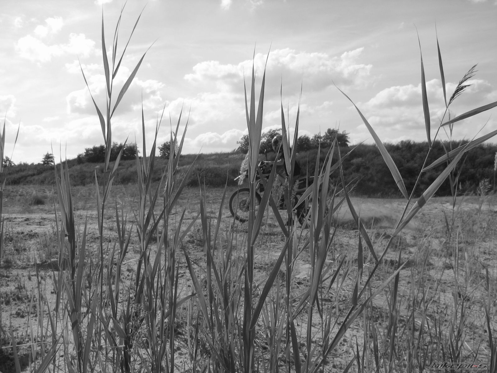 Photo 1000037