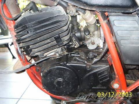 Photo 100004