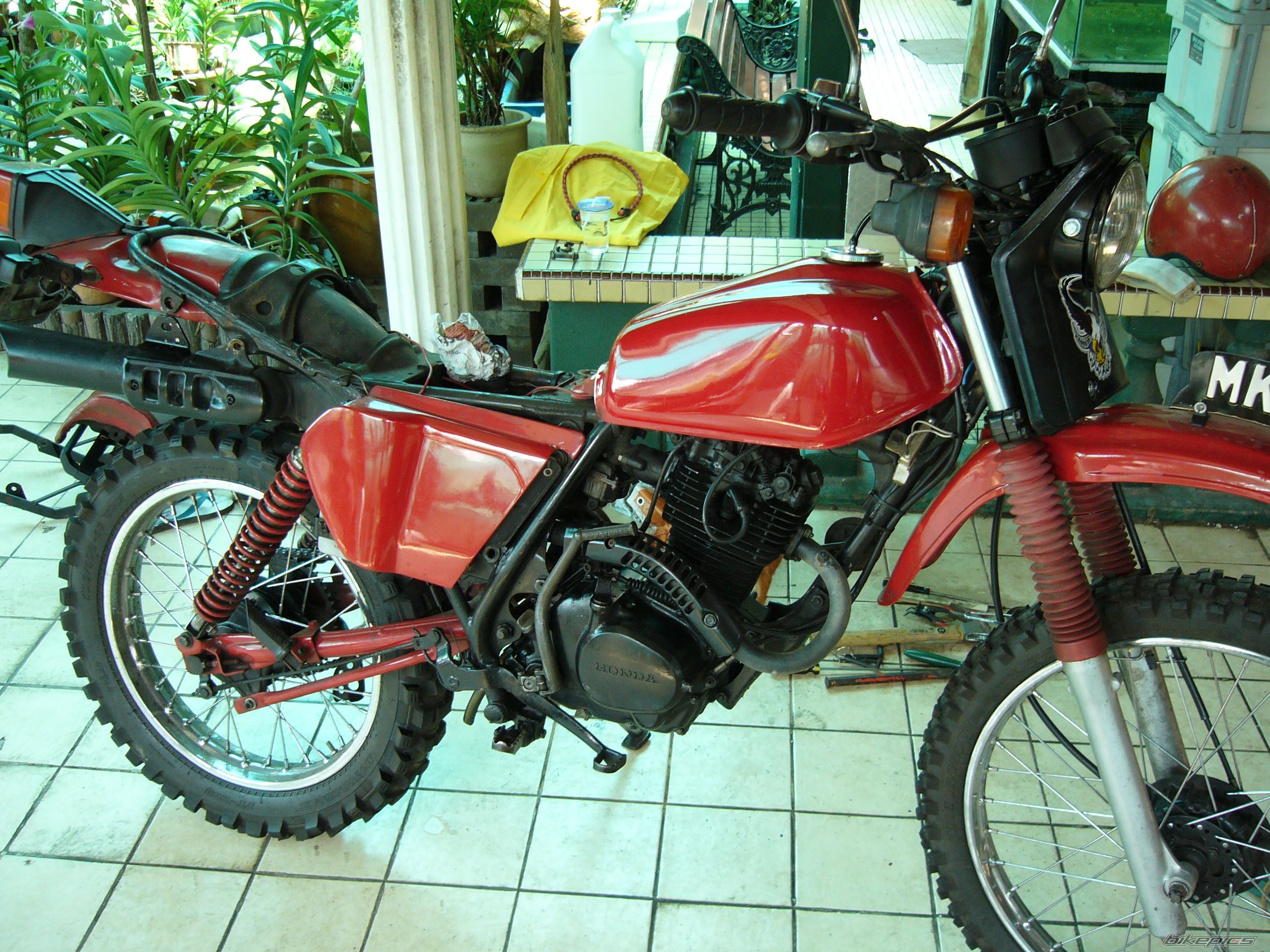 Photo 1000048