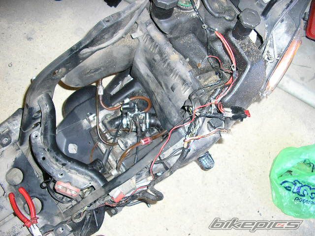 Photo 1000072