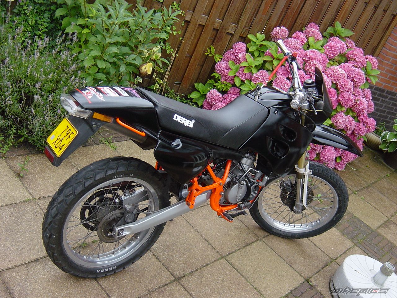 Photo 1000116