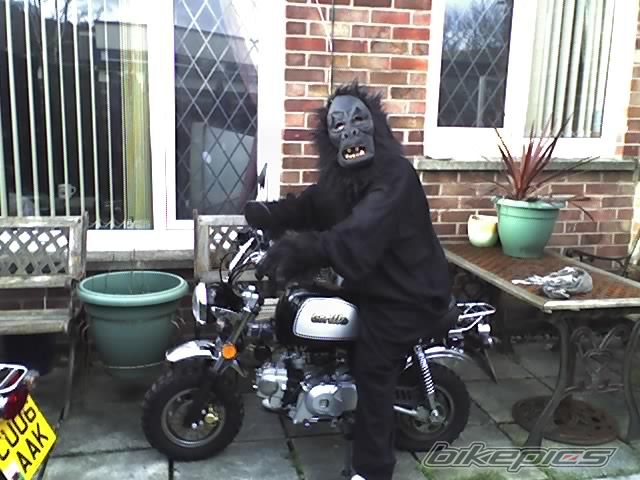 Bike Photo 1000118