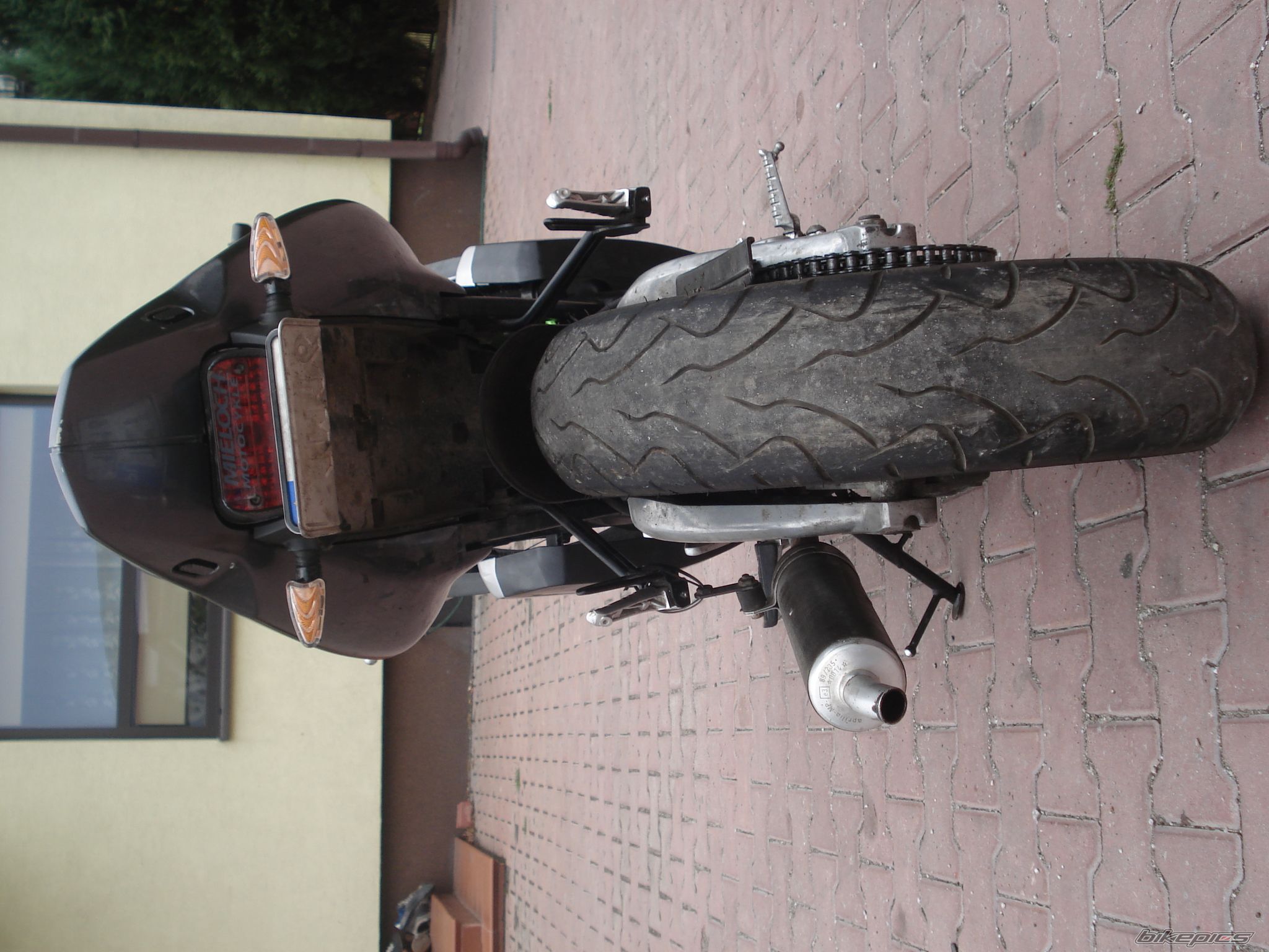 Photo 1000186