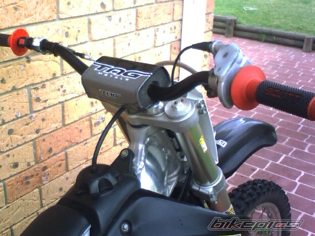Photo 1000194