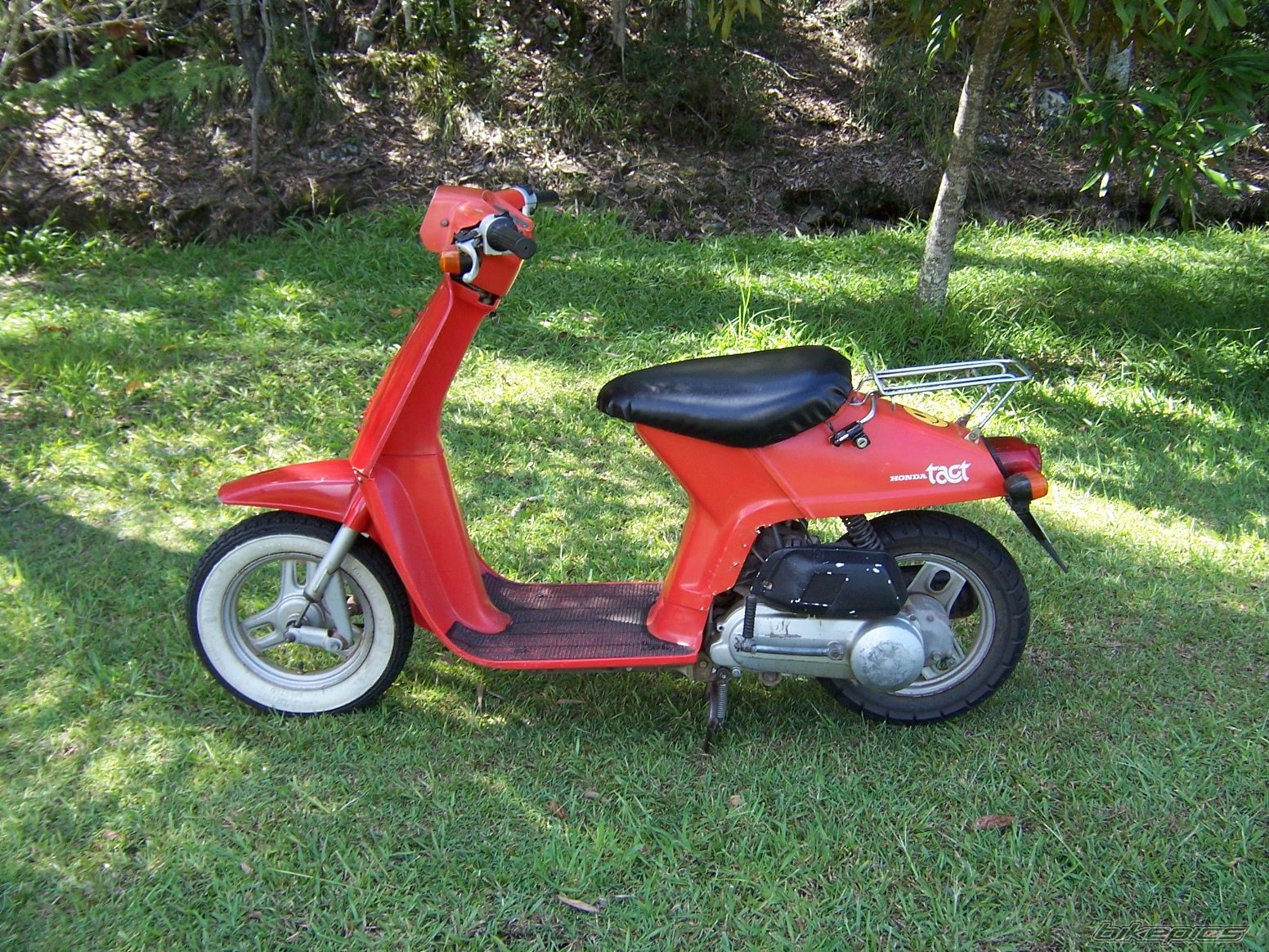 Bike Photo 1000240