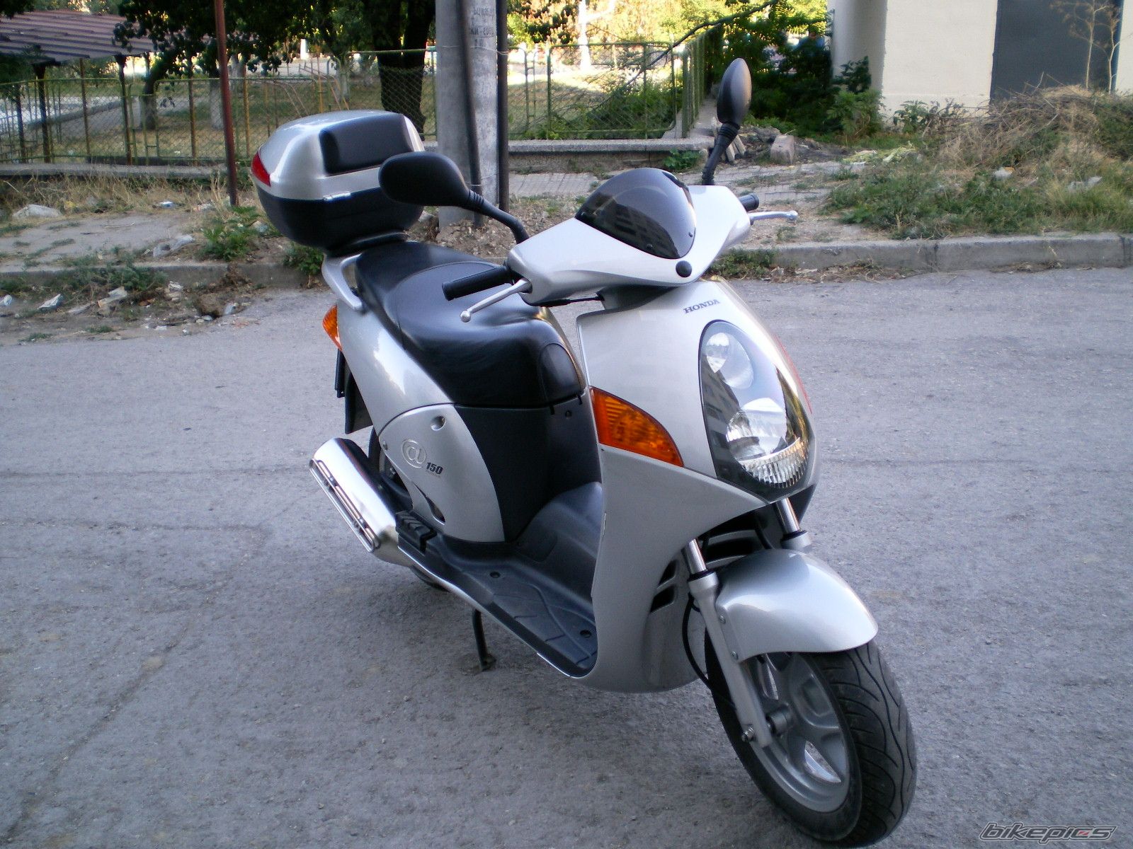Photo 1000247