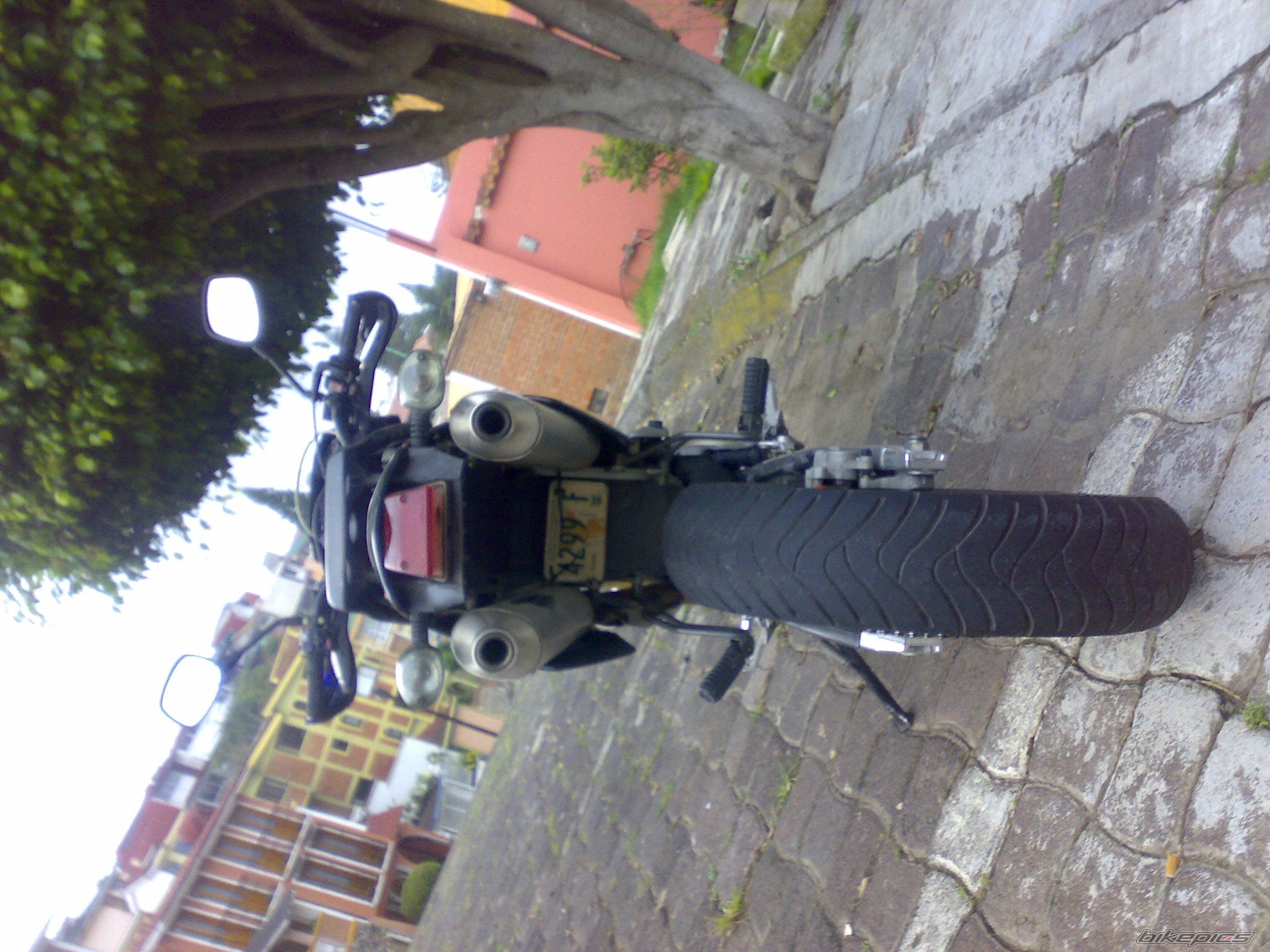 Photo 1000270