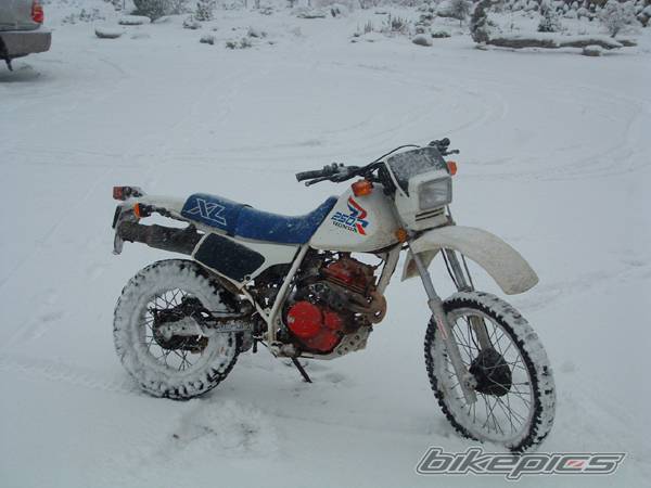 Bike Photo 100036