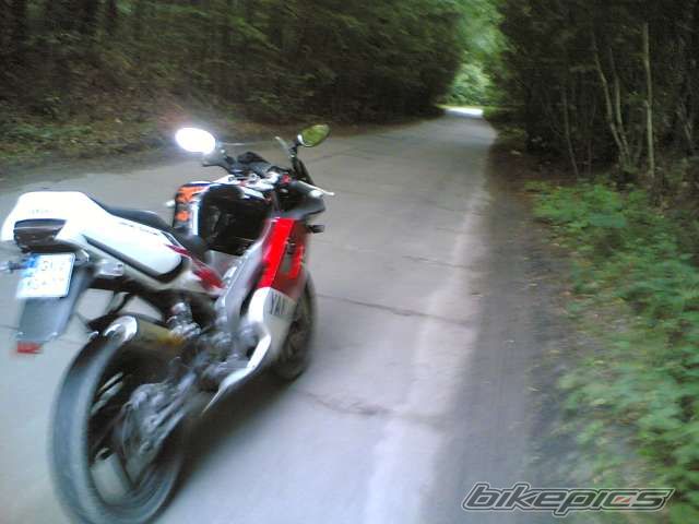 Photo 1000368