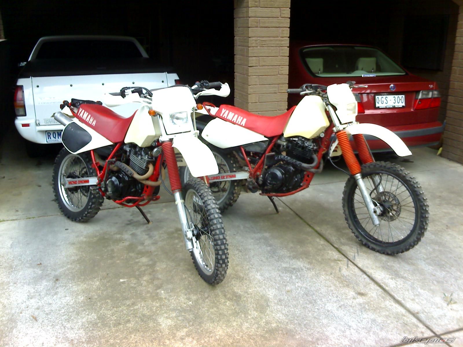Photo 1000391