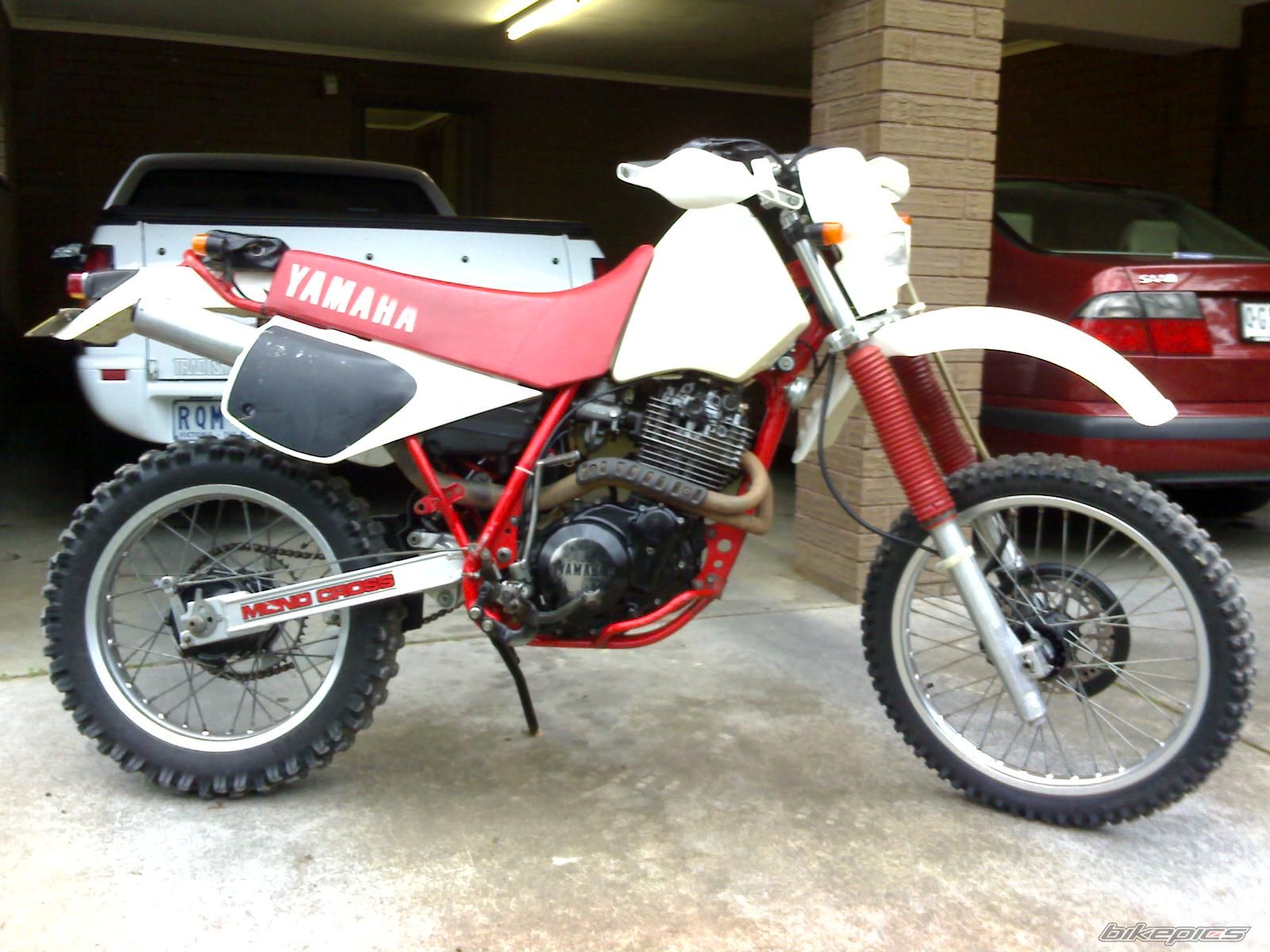 Photo 1000399
