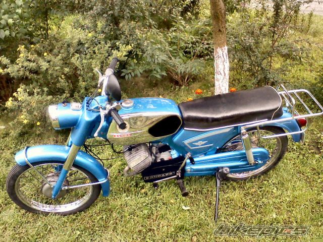 Photo 1000423