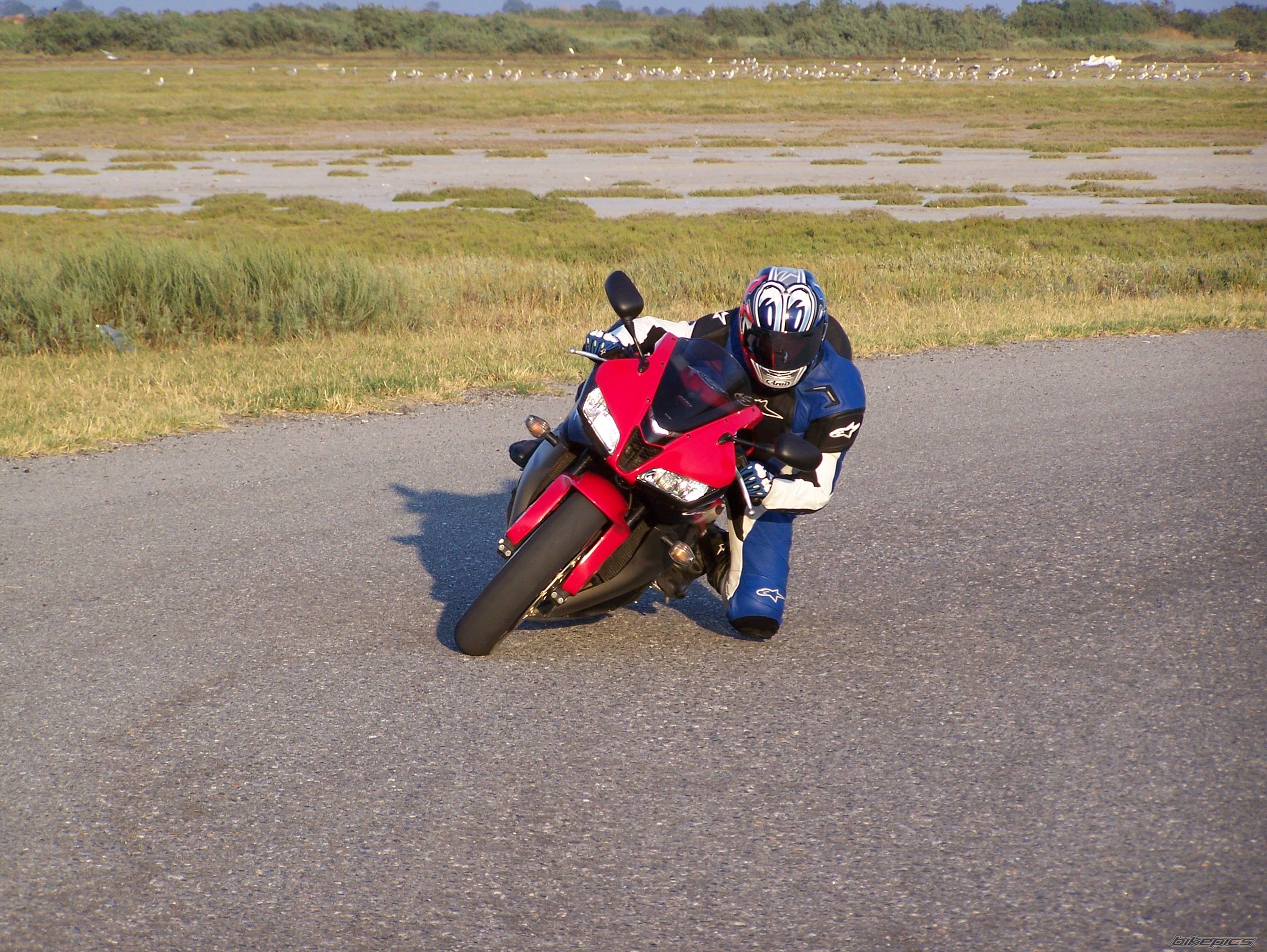 Photo 1000442