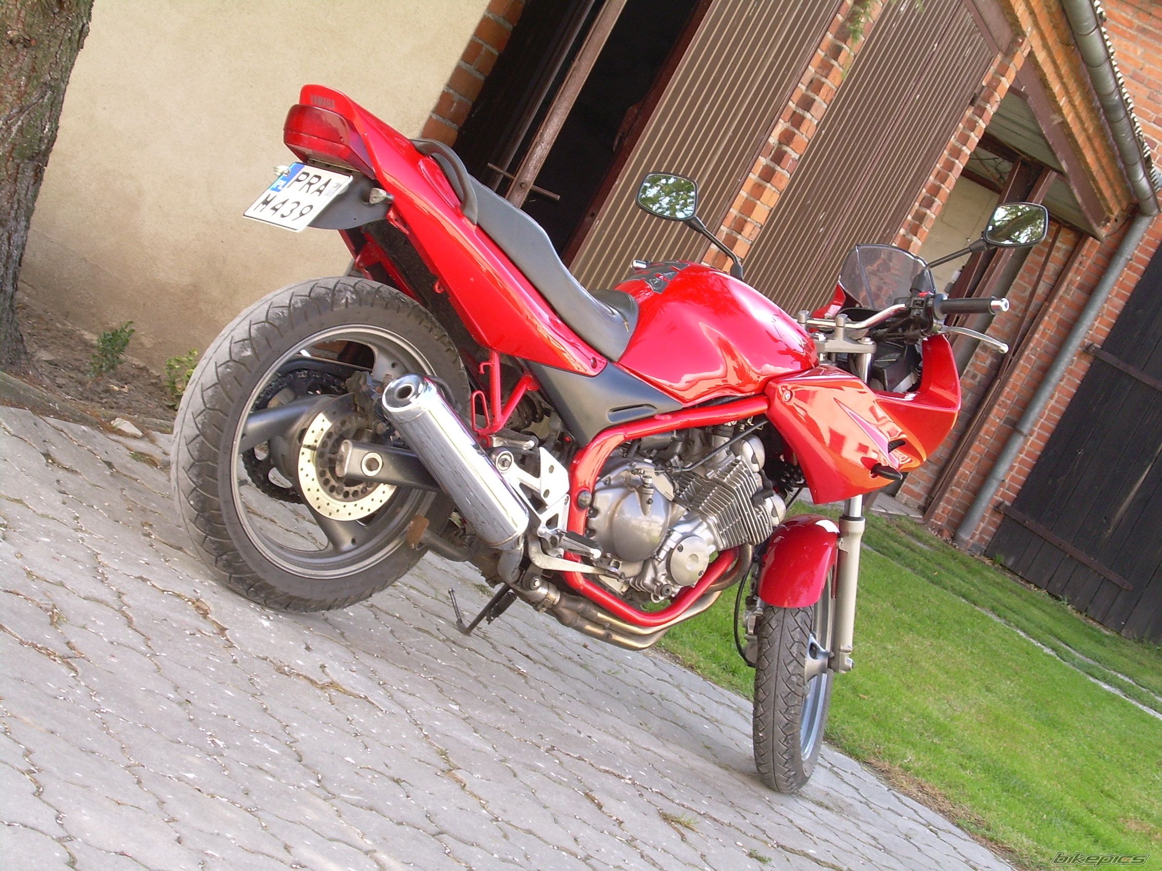 Photo 1000444
