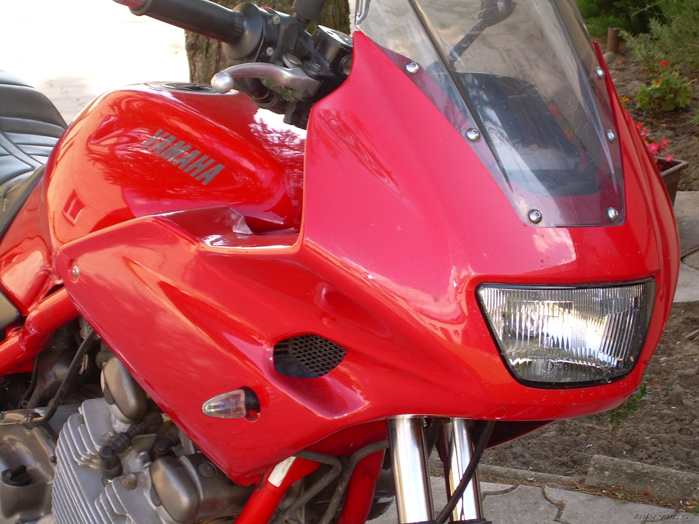 Photo 1000445