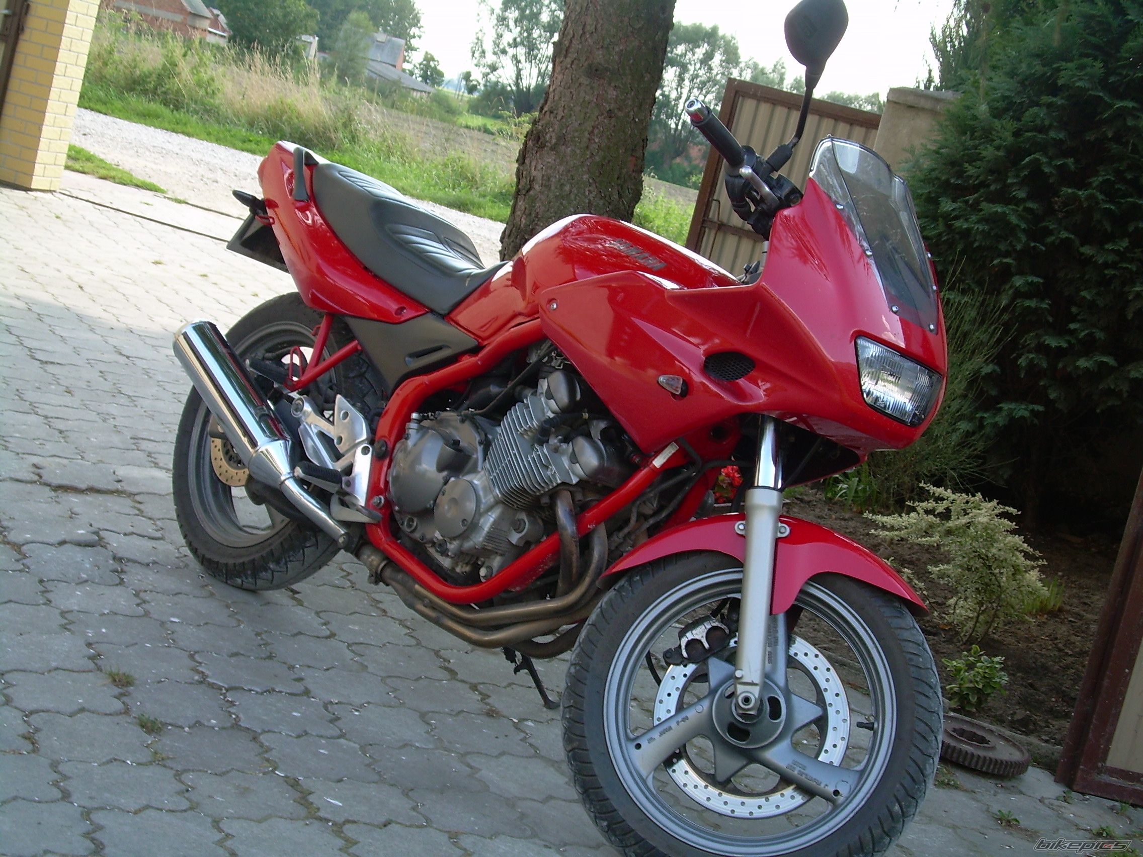 Photo 1000446