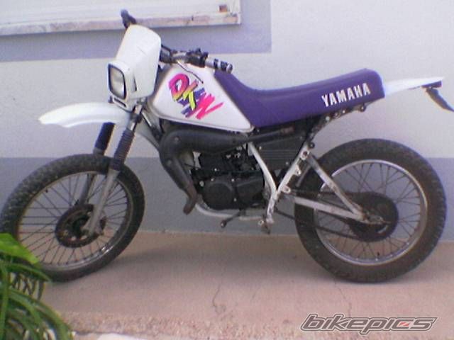 Photo 1000452