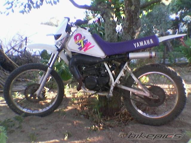 Photo 1000453