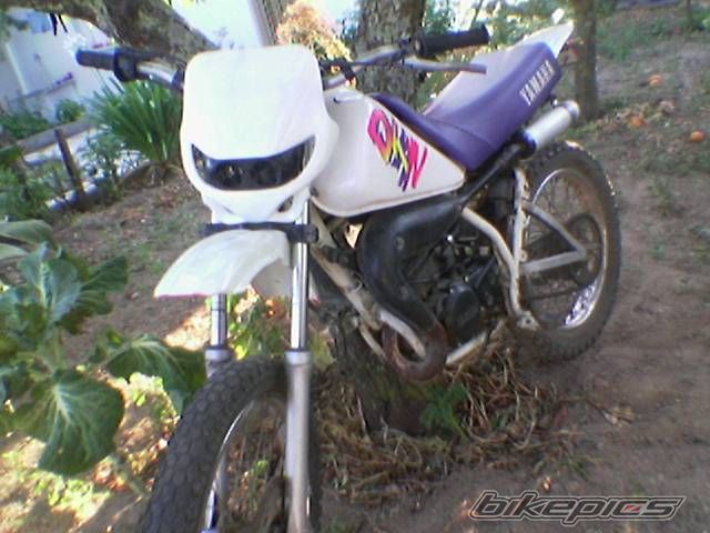Photo 1000454