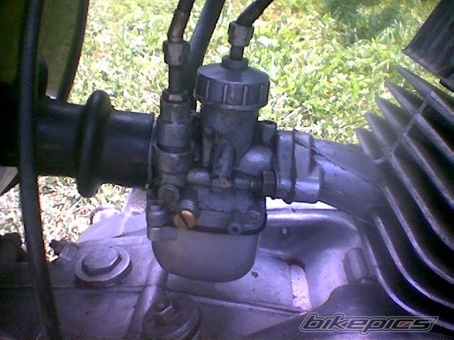 Photo 1000463