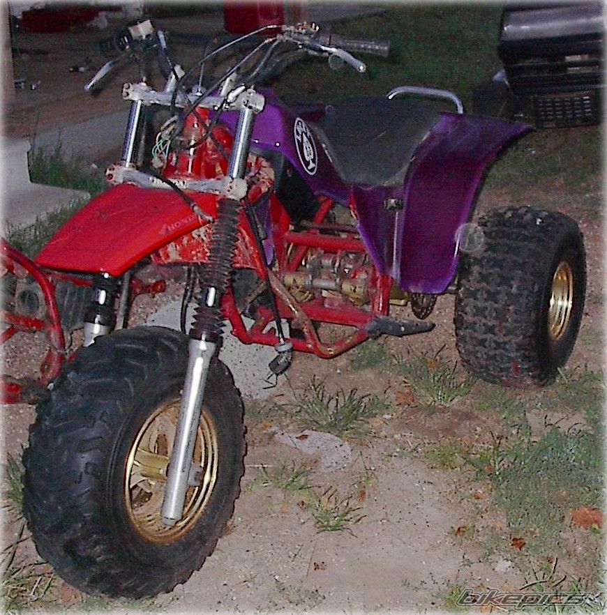 Photo 1000471