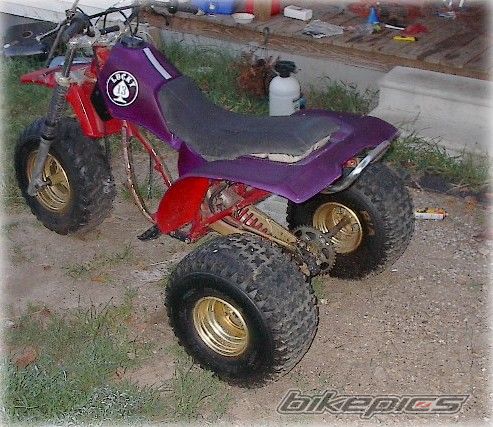 Photo 1000473
