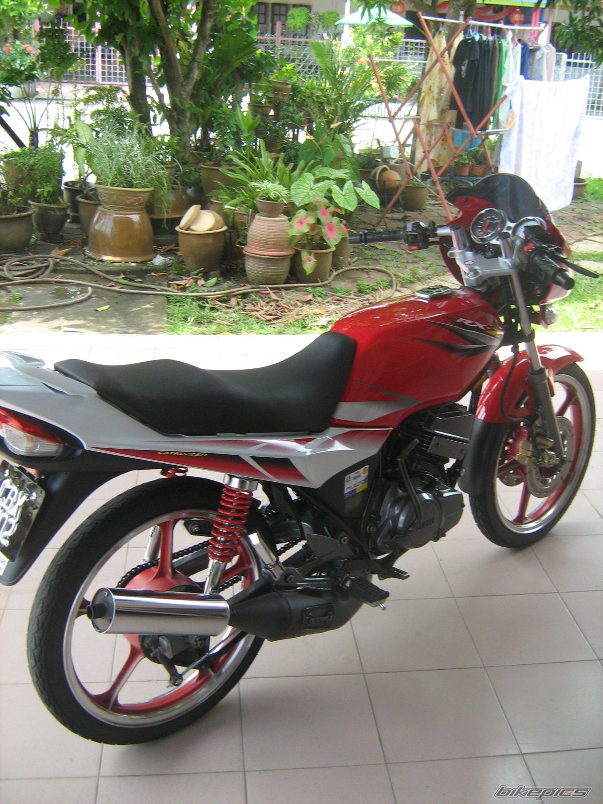 Photo 1000484