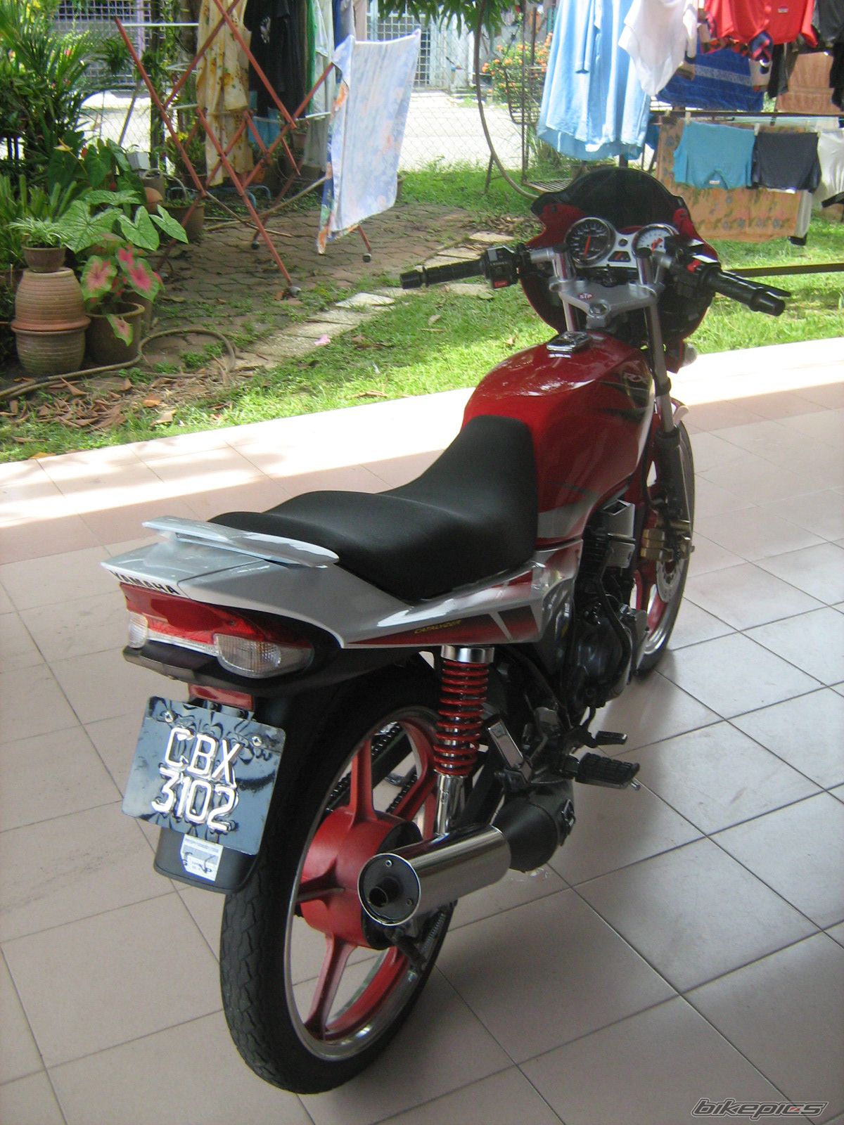Photo 1000486