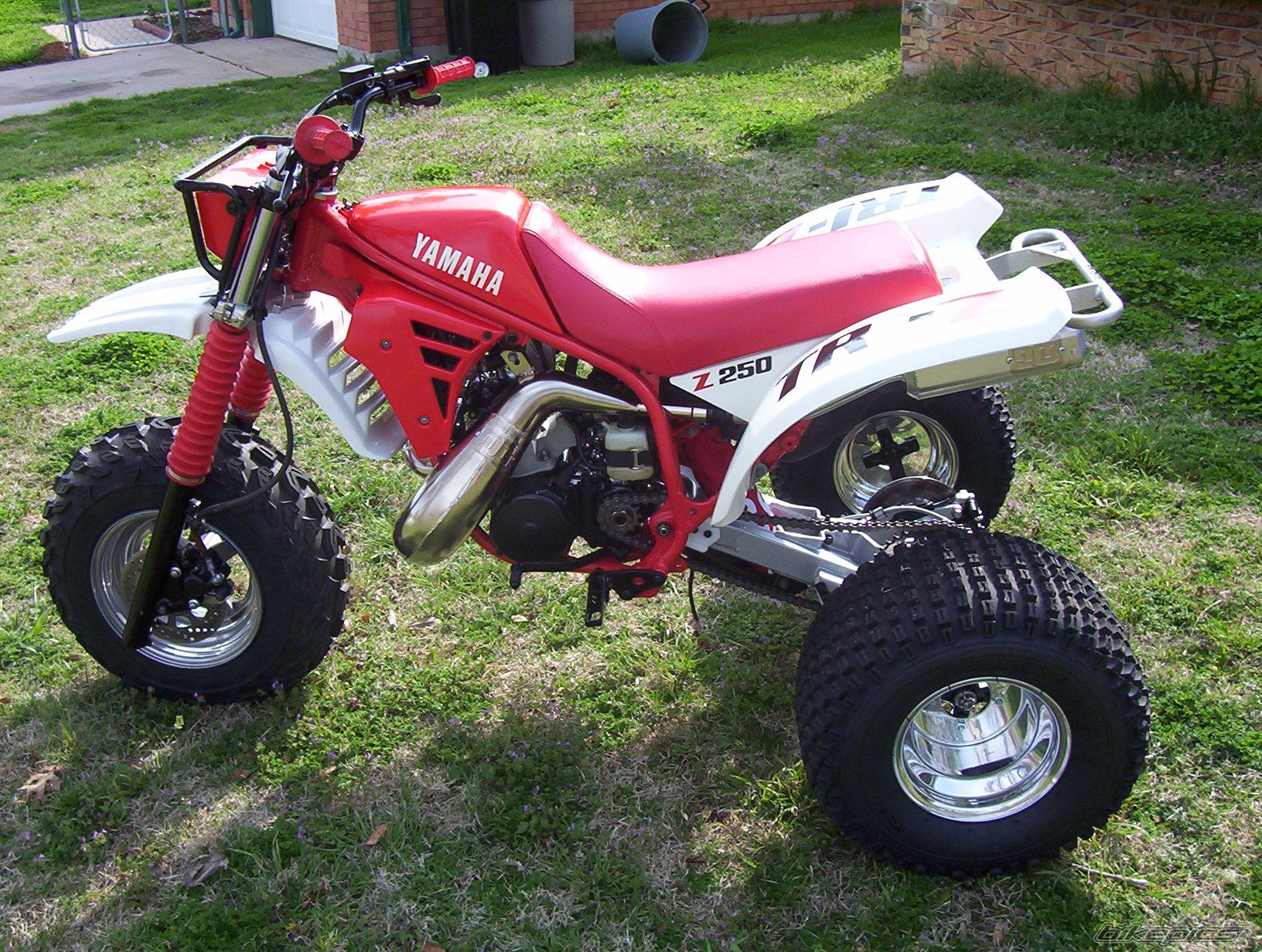 Photo 1000491