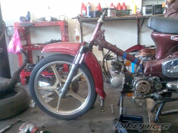 Photo 1000493