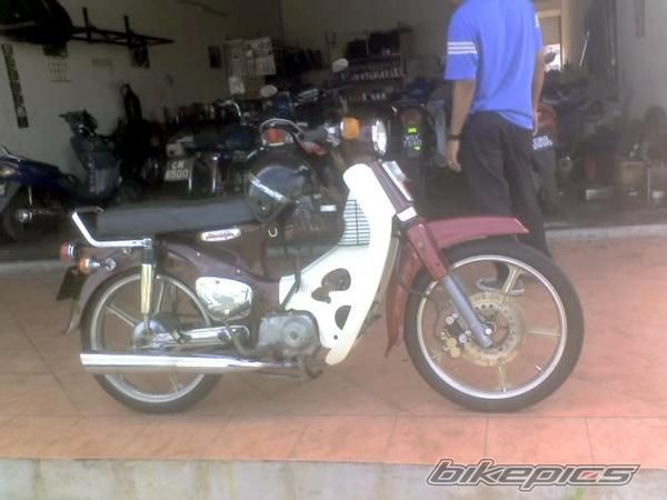 Photo 1000495