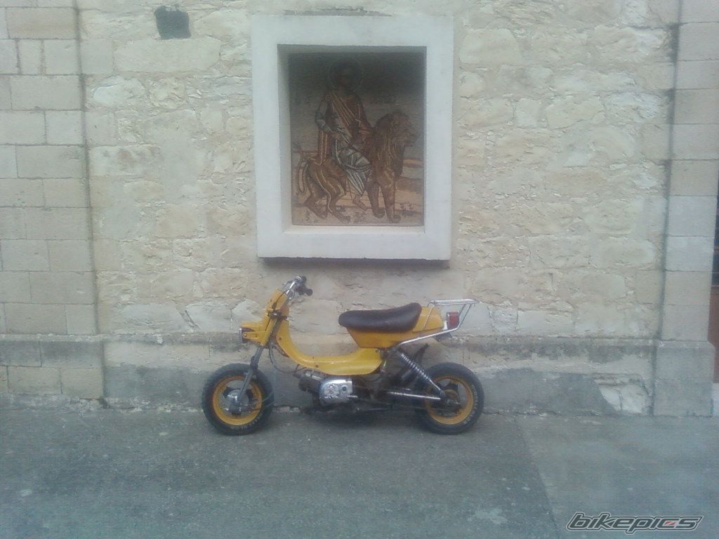 Photo 1000503