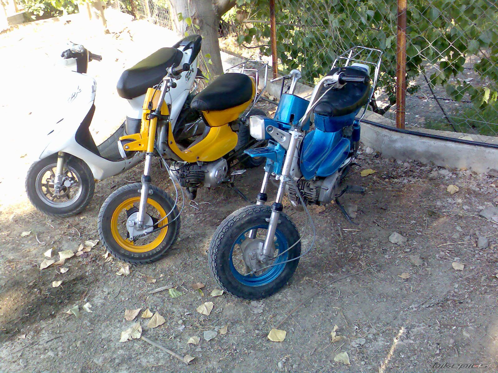 Photo 1000508