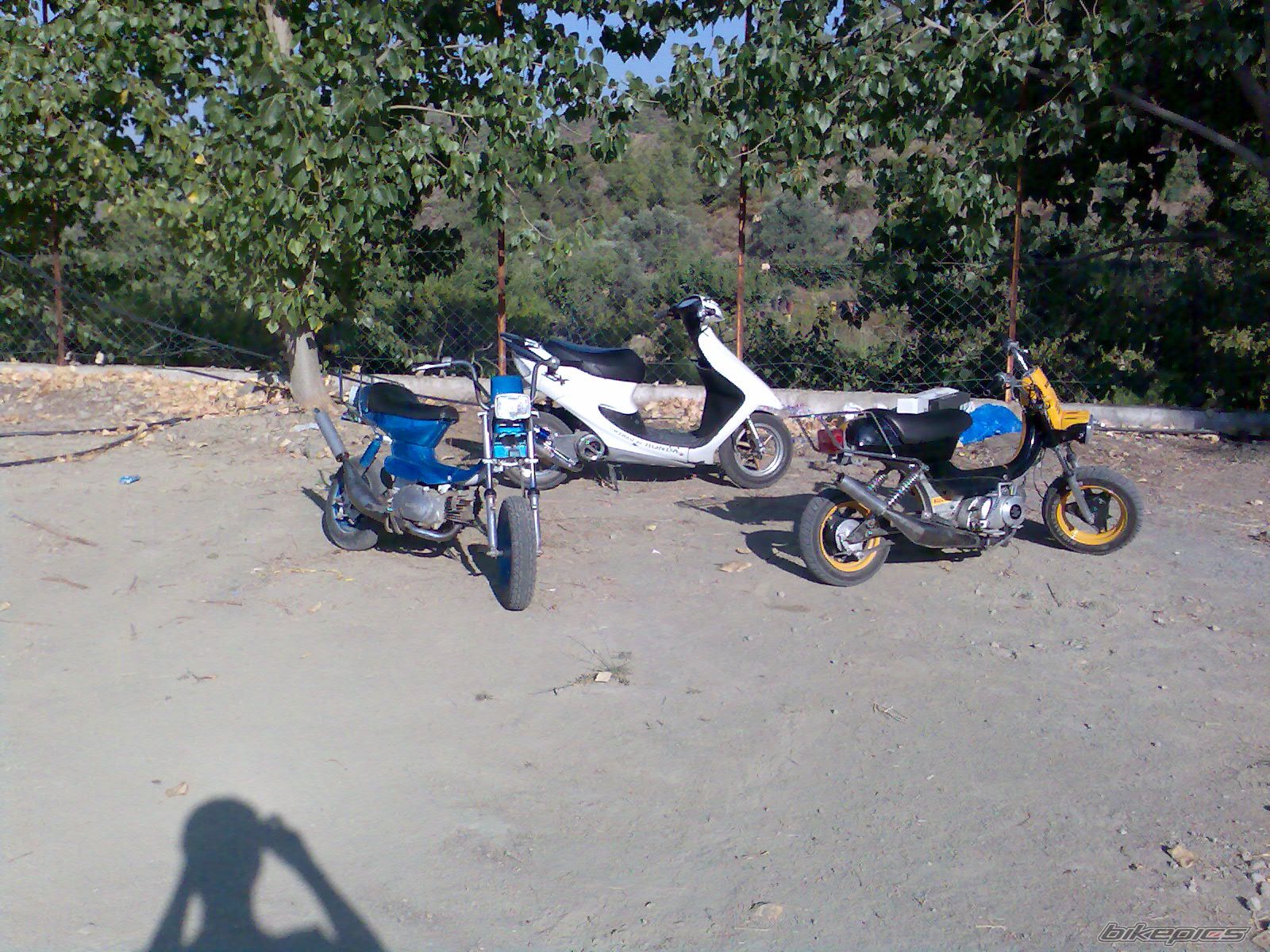 Photo 1000513