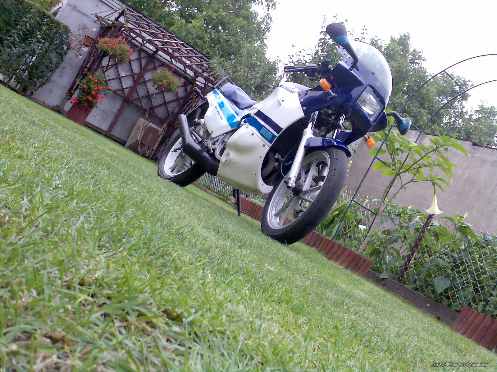 Bike Photo 1000534