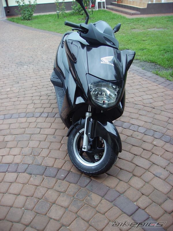 Photo 1000551