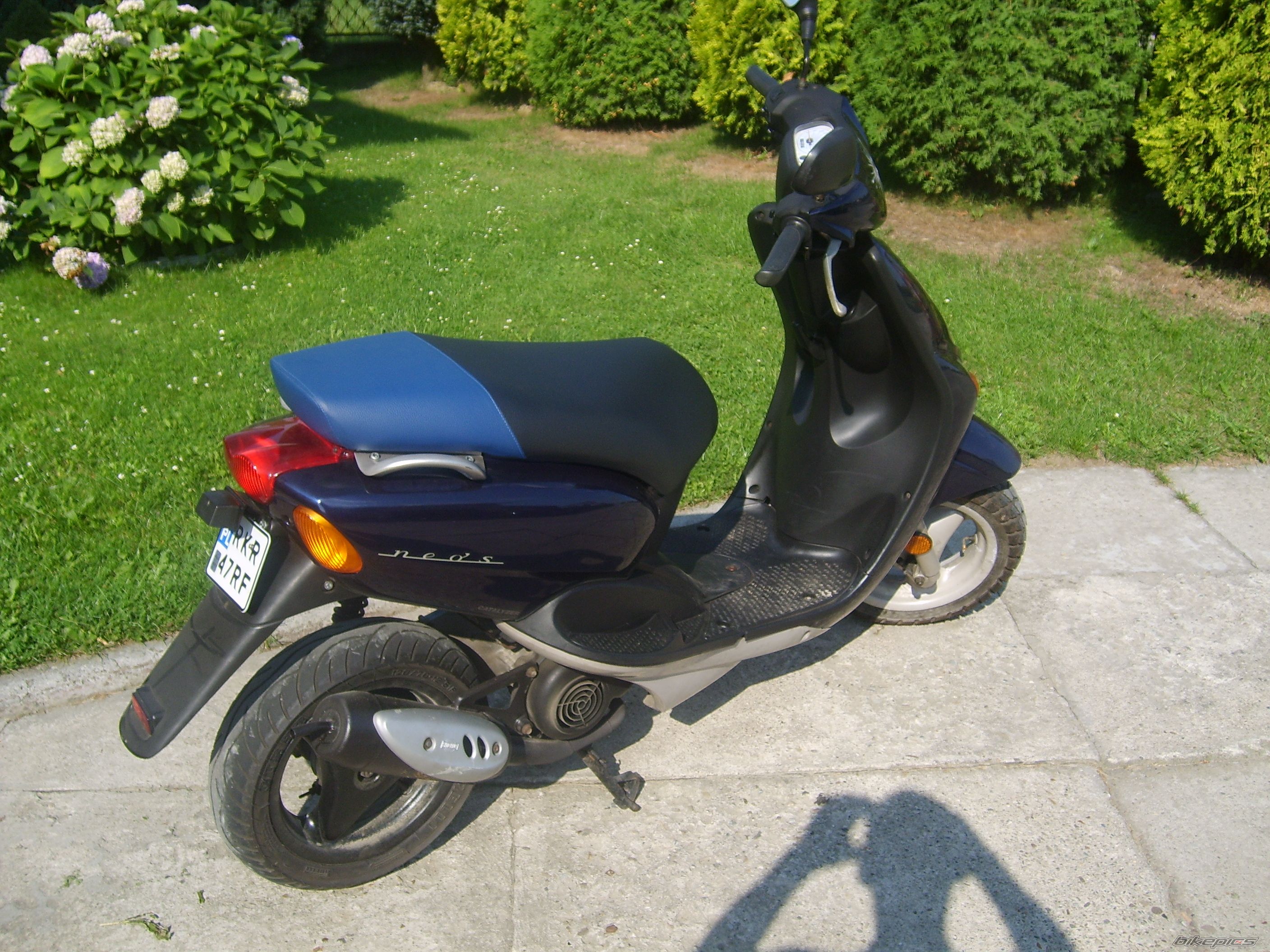 Photo 1000594