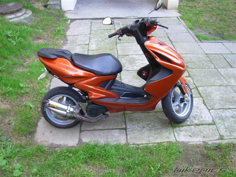 Photo 1000604