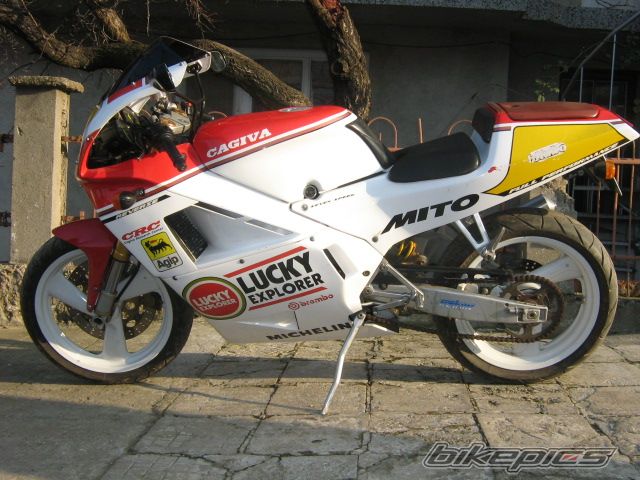 Photo 1000652