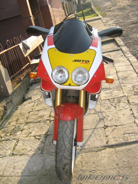 Photo 1000655