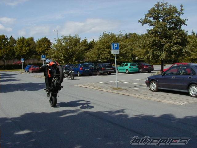 Photo 100066