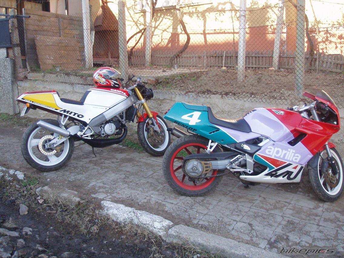 Photo 1000664