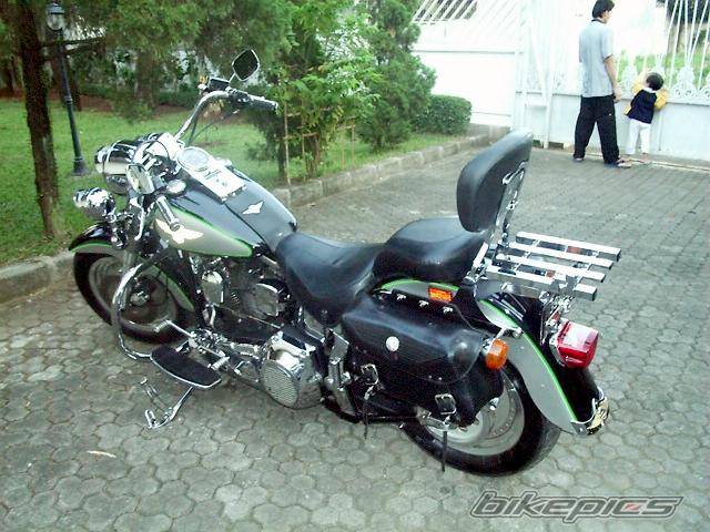 Photo 10007