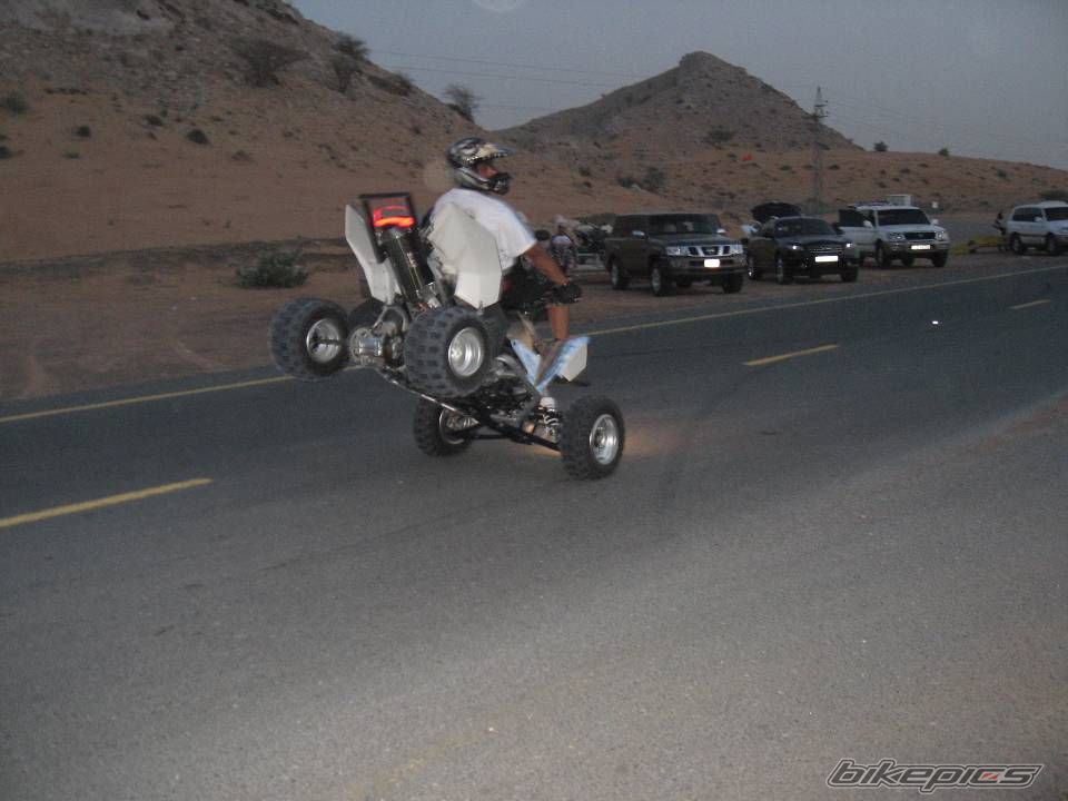 Photo 1000748