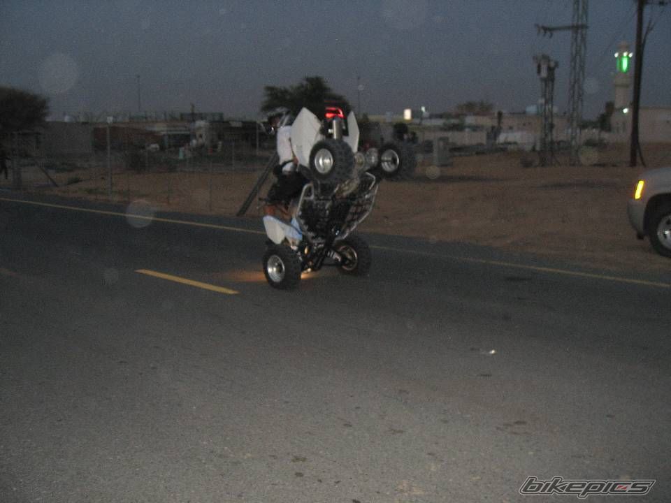 Photo 1000754