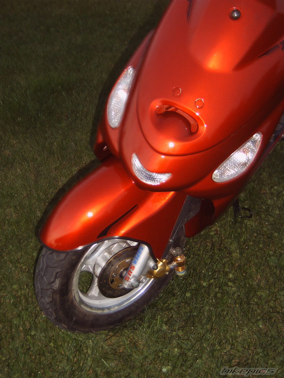 Photo 1000819